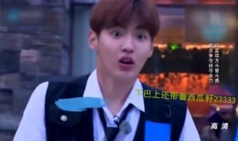 吴亦凡视频,揭秘明星背后的真实生活